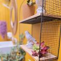Jardim Interno