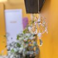 Jardim Interno